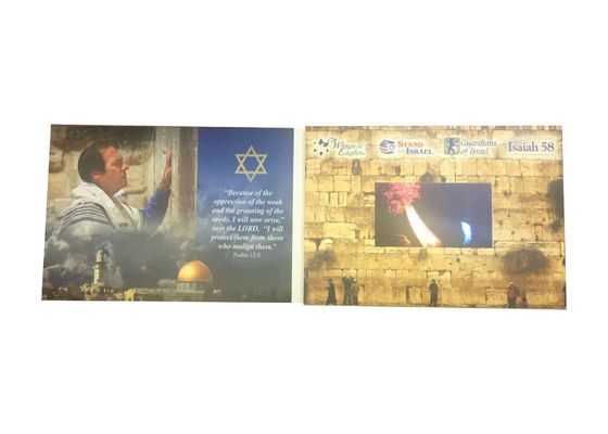 Giá tốt Thiệp Chúc Mừng Video Cá Nhân Hóa Thương Mại Màn Hình TFT 4.3 Inch Với Khe Cắm SD trực tuyến